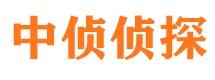 陈仓捉小三公司